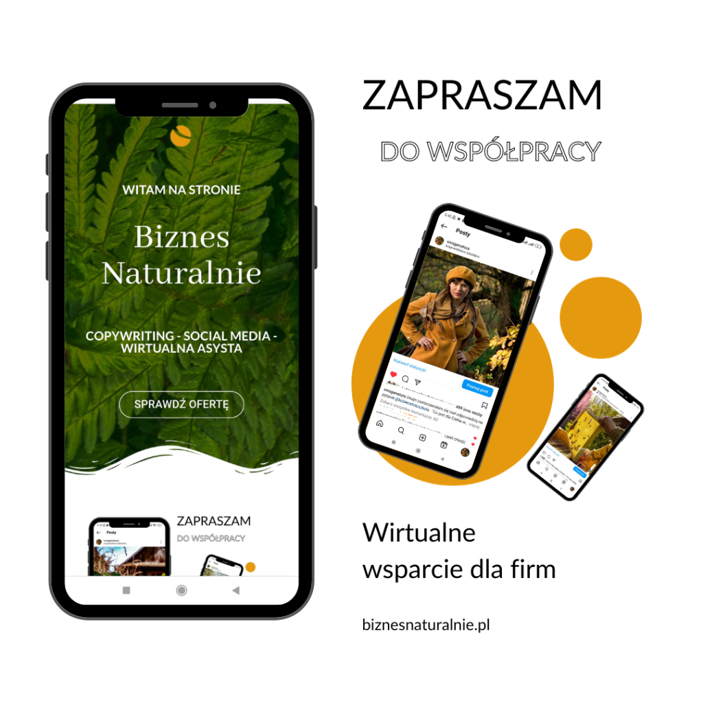 Celem obrazka jest zaproszenie do skorzystania z usług strony biznesnaturalnie.pl , czyli wsparcia online dla firm. Obrazek promuje następujące usługi: copywriting , wirtualna asysta , wsparcie w prowadzeniu mediów społecznościowych.